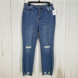 PTCL Vintage High Rise Waist Button Fly Skinny Jeans Size 29